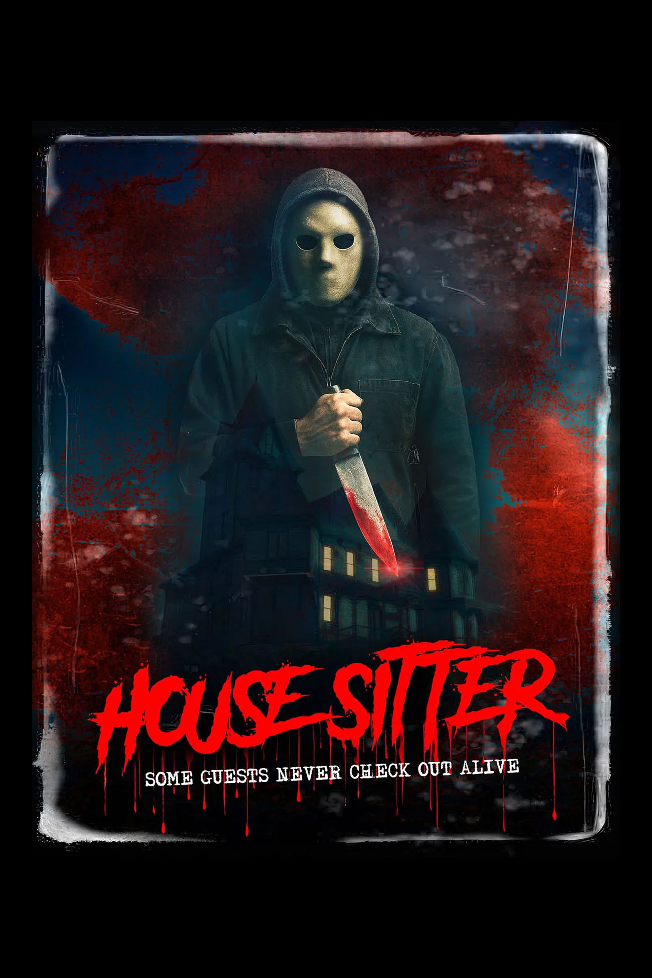 House Sitter